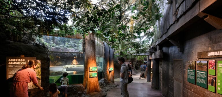environmental installation services