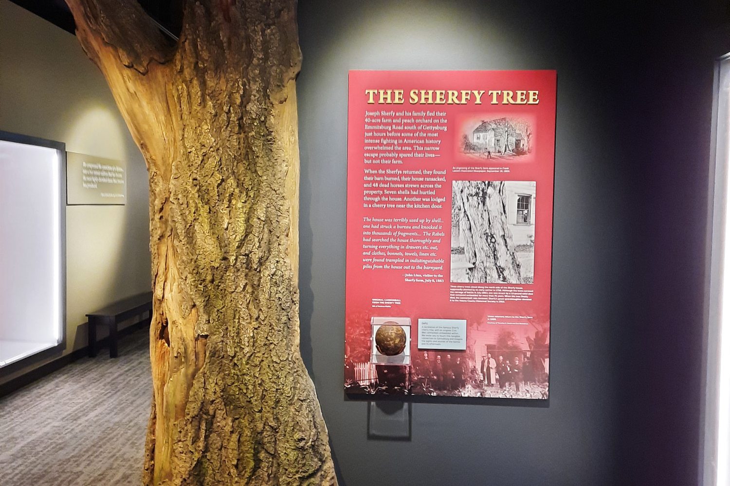 Sherfy Tree